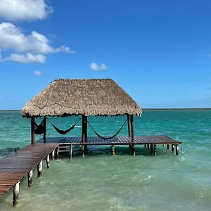 Mi kasa tu kasa